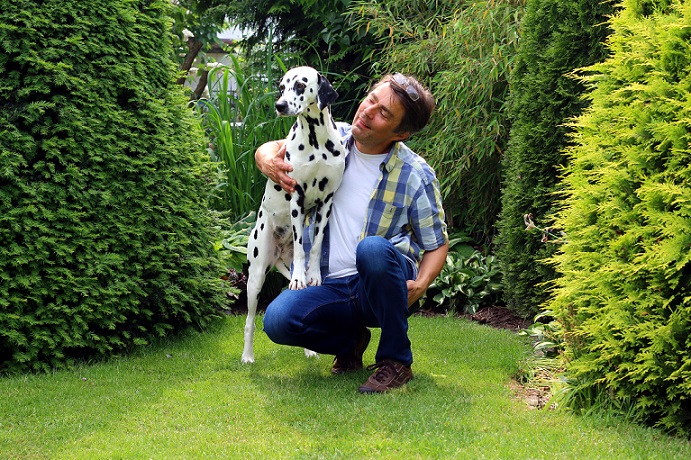 So ein hübscher Hund: Sein Herrchen würde nie wollen, dass ihm durch das Plastik im Hundefutter von Netto etwas geschehen würde.