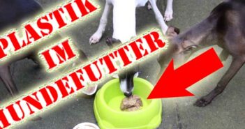„ Plastik im Hundefutter “: das jüngste Gerücht? „ Plastik im Hundefutter “: das jüngste Gerücht? Was steckt hinter der Story über Plastik in RINTI, PLATINUM & Co.?