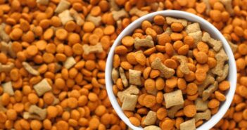 Erfolgreiches erstes Quartal: Zooplus AG meldet Anstieg der Umsatzerlöse Erfolgreiches erstes Quartal: Zooplus AG meldet Anstieg der Umsatzerlöse