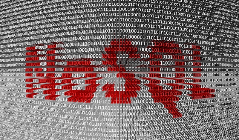 Zunehmend verbreitet sind die NoSQL-Datenbanken, die verschiedene Probleme der SQL-Datenbanken beseitigen. Die wachsende Datenflut führte zur Entwicklung dieser neuen Generation von Datenbanksystemen. (#04)
