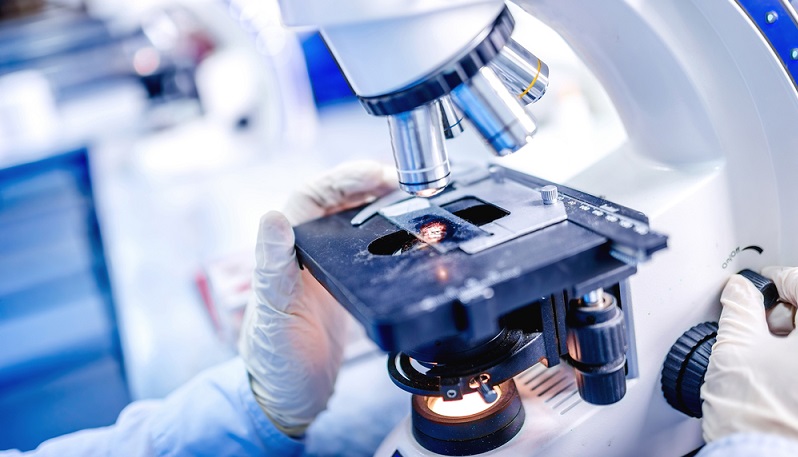 Im chemisch-pharmazeutisch geprägten industriellen Bereich wurde im Jahr 2017 ein starkes Umsatzwachstum von mehr als 5 % verzeichnet. (#02)