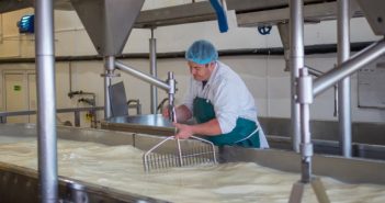pH-Wert-Transmitter: Einsatz in der Käseproduktion pH-Wert-Transmitter: Einsatz in der Käseproduktion
