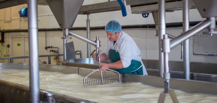 pH-Wert-Transmitter: Einsatz in der Käseproduktion pH-Wert-Transmitter: Einsatz in der Käseproduktion