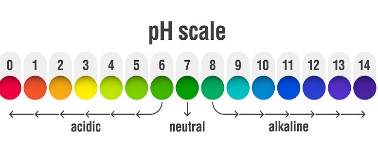Egal, ob das pH Meter als Wassertester oder zur Messung in Chemikalien eingesetzt wird: Das Smartphone ist immer dabei.