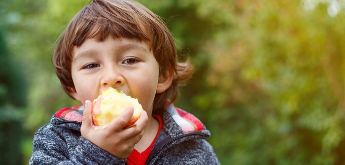 Redox Potential: Wichtige Erkenntnisse für die antioxidative Wirkung von Lebensmitteln Redox Potential: Wichtige Erkenntnisse für die antioxidative Wirkung von Lebensmitteln