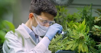 CBD-Statistik: über den Umsatz und die Eroberung des Kosmetik-Marktes durch CBD CBD-Statistik: über den Umsatz und die Eroberung des Kosmetik-Marktes durch CBD (Foto: Shutterstock-_HQuality)