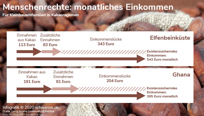 Infografik: "Monatliches Einkommen von Kleinbauern in Kakaoregionen" - Menschenrechte und Lieferkettengesetz.