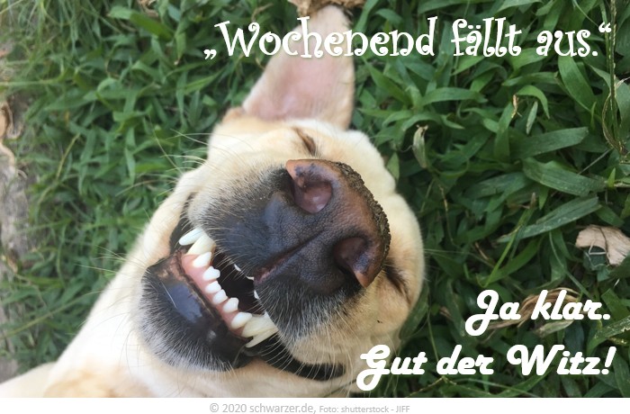 Wochenend-Spruch: "Wochenend fällt aus." - "Ja klar. Gut der Witz."
