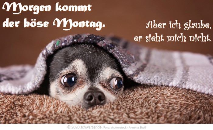Wochenend-Spruch: "Morgen kommt der böse Montag. Aber ich glaube, er sieht mich nicht."