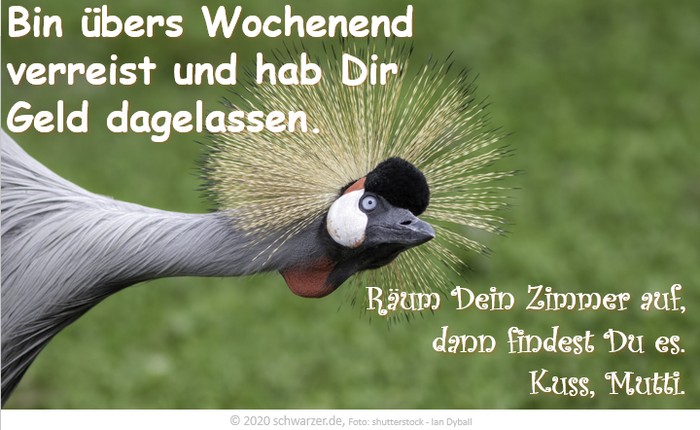Wochenend-Spruch: "Bin übers Wochenend verreist und hab Dir Geld dagelassen. Räum Dein Zimmer auf, dann findest Du es! Kuss, Mutti."