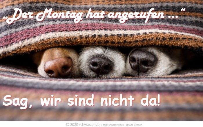 Wochenend-Spruch: "Der Montag hat angerufen... - Sag, wir sind nicht da."