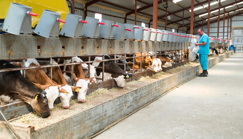 Auch in der Landwirtschaft braucht es Neuerungen ( Foto: Shutterstock-_fotopanorama360 )