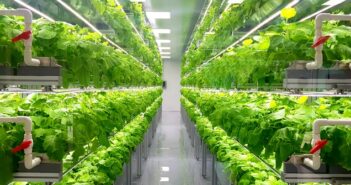 Swegreens: vertikale IoT-Farmen in Städten Swegreens: vertikale IoT-Farmen in Städten (Foto: Adobe Stock - Wirestock)