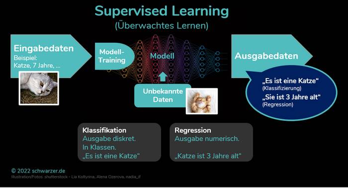 Infografik Supervised Learning (überwachtes Lernen): Beim Supervised Learning lernen die Algorithmen die Muster über einen Trainingsdatensatz (Beispieldaten).