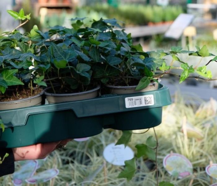 RFID- und Barcode-Tracking für RTIs: TUND Smart-Adapter (Foto: TUND GmbH)